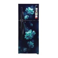 LG No-Frost Refrigerator 260 Liter Hazel Plumeria